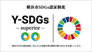Y-SDGs superior